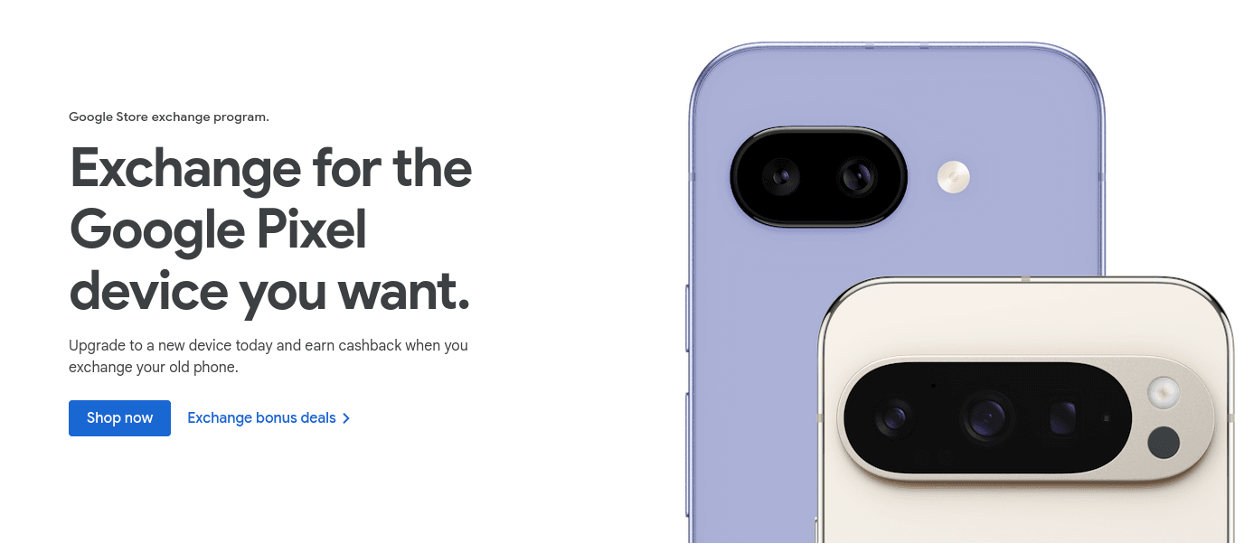 (Image: Google Store)
